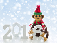 Что приготовить на Новый год Обезьяны