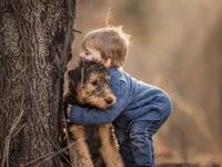 Видеохит: Встреча мальчика с найденной собакой растрогала Сеть