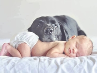 Фото дня: Это любовь!