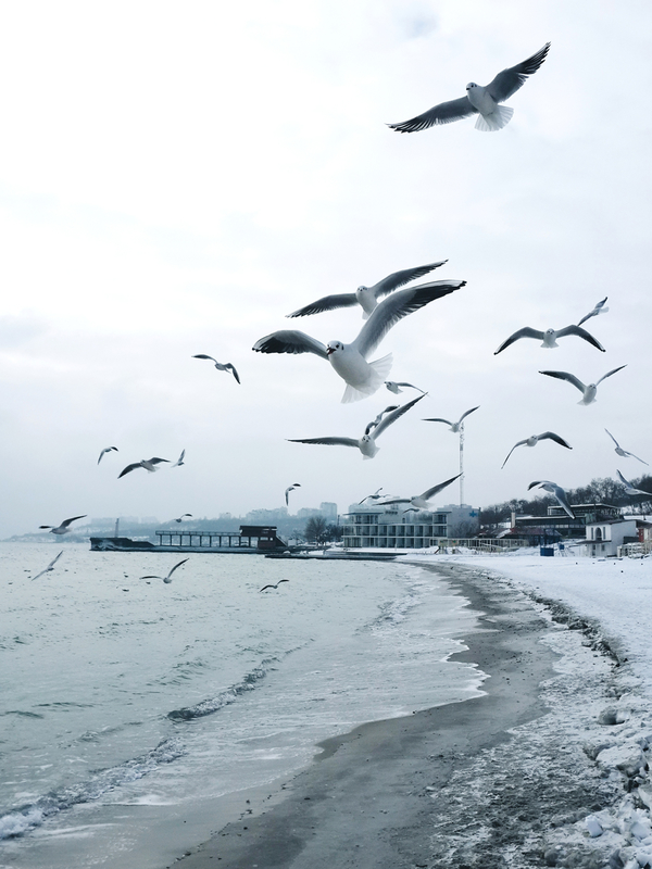 10 фото заснеженной Одессы