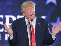 Гей-роман о Дональде Трампе стал хитом на Amazon