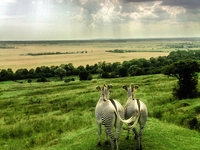 Впечатляющие снимки финалистов конкурса National Geographic Traveler's