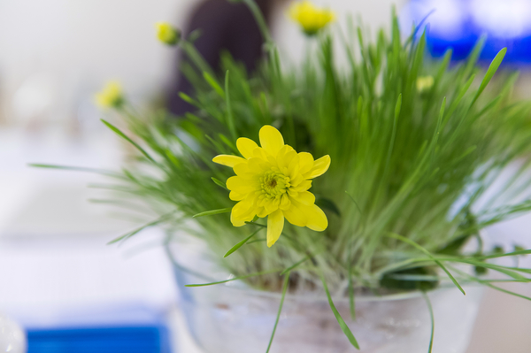 Пресс-служба компании Майкрософт