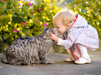 Невыносимая разлука: трогательная реакция кота на встречу с ребенком