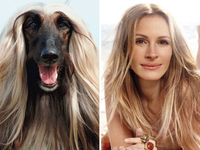 Животные, которые невероятно похожи на знаменитостей