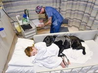 Безграничная преданность собаки помогает мальчику жить