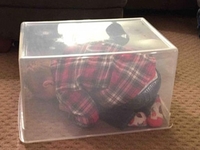 Искусство игры в прятки: виртуозные невидимки среди детей