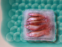 Фуд-арт: Аква-рисунки на тарелках