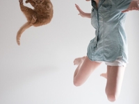 Без кота и жизнь не та: 7 причин завести домашнего питомца