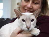 Кошка выжила после восьмидневного заточения в посылке