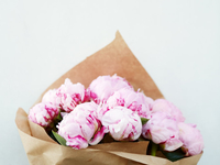 11 интересных фактов о пионах