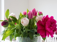 Лайфхак: как красиво разместить цветы в вазе