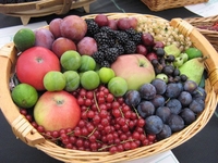 Вредные комбинации продуктов, которых стоит избегать