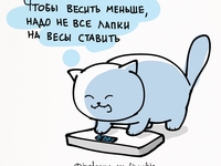 Комикаки: кошачья философия в веселых иллюстрациях