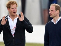 Принц Гарри и Уильям поиграли в "звездные войны"