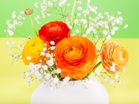 Лайфхак: как сделать так, чтобы цветы быстро распустились