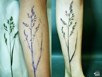 Рисует сама природа: реалистичные татуировки в виде растений