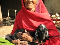 72-летняя жительница Индии родила первого ребенка