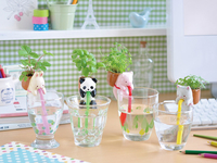 Дизайнеры изобрели самоувлажняемые горшочки для растений