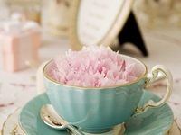 Необычные чайные пакетики: 15 креативных идей