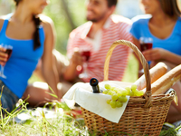 В Украине впервые пройдет Чемпионат пикников