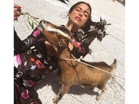 Ирина Шейк опубликовала стильное фото с козами