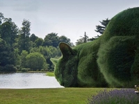 Кото-кусты британского художника покорили интернет