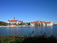 В парке развлечений Walt Disney World аллигатор утащил в воду ребенка