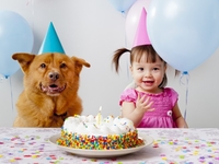 Интересные идеи для детского праздника