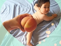 Сладкий Instagram: родители придумали новый способ снимать малышей