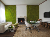 Моховые стены: дизайнерский тренд, который превращает дом в лес