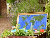 Как сделать мини-сад в старом чемодане