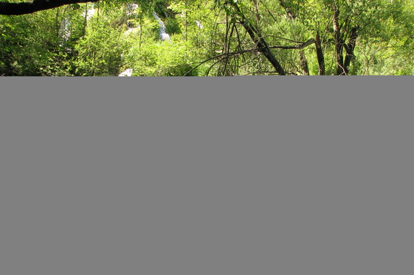 Фото: Юлия Мясоедова