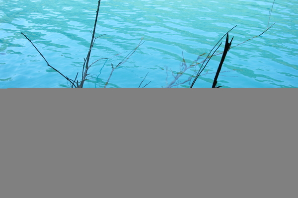 Фото: Юлия Мясоедова