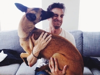 Больше не одинок: фото счастливых собак, которых забрали из приюта