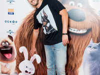 Секреты домашних животных: Егорова, Притула, Шилько и Гагарин на премьере