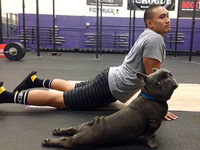 Йога животных: как домашние питомцы копируют хозяев