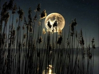 Две Луны: украинцев заинтересовало природное явление