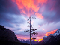 National Geographic Nature показали лучшие снимки года