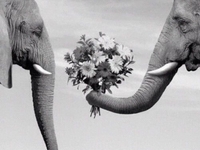 Слово женщинам: пять вещей о свиданиях, которые должны знать мужчины