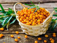 Облепиха: польза и вред