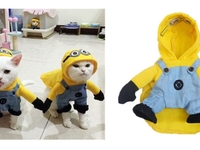 Кот тоже будет праздновать Хэллоуин: костюмы для хвостатых