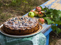 Шарлотка с яблоками и ягодами: три вкусные идеи