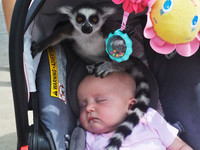 Фотофакт: дети – это весело