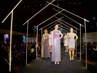 Литовченко, Lilu и Полина Логунова приняли участие в показе Farnosova