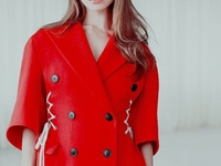 Новый год 2017: год кого