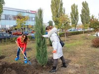 Эко-акция: Купил машину? Посади дерево!