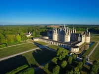 Google запустил онлайн-экскурсии по мировым достопримечательностям