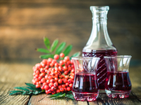 Настойка из рябины