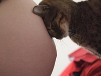 Эпидуральная анестезия: пять распространенных мифов